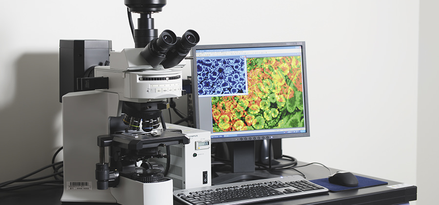 Department of Pharmaceutical Health