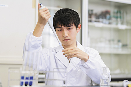 Research project for graduation and preparation for the national exam