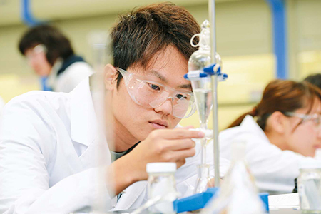 Research project for graduation and preparation for the national examination