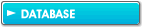 DATABASE