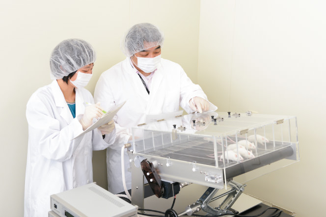 医薬品解析・開発学分野