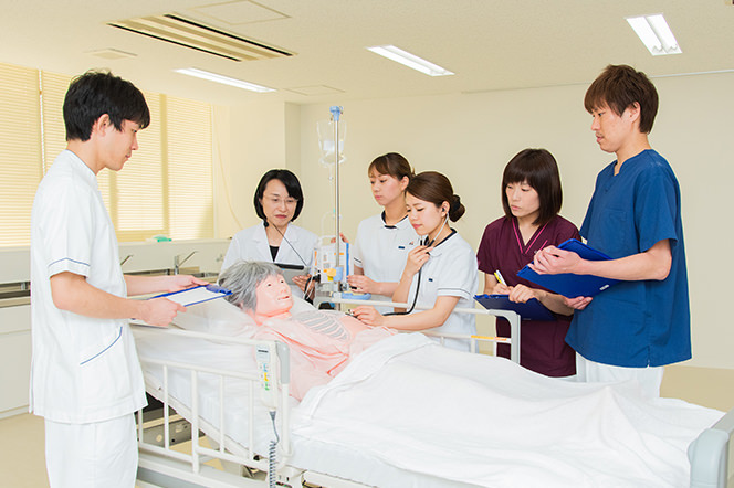 看護学分野