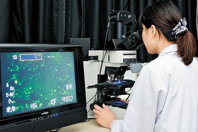 医療栄養学分野