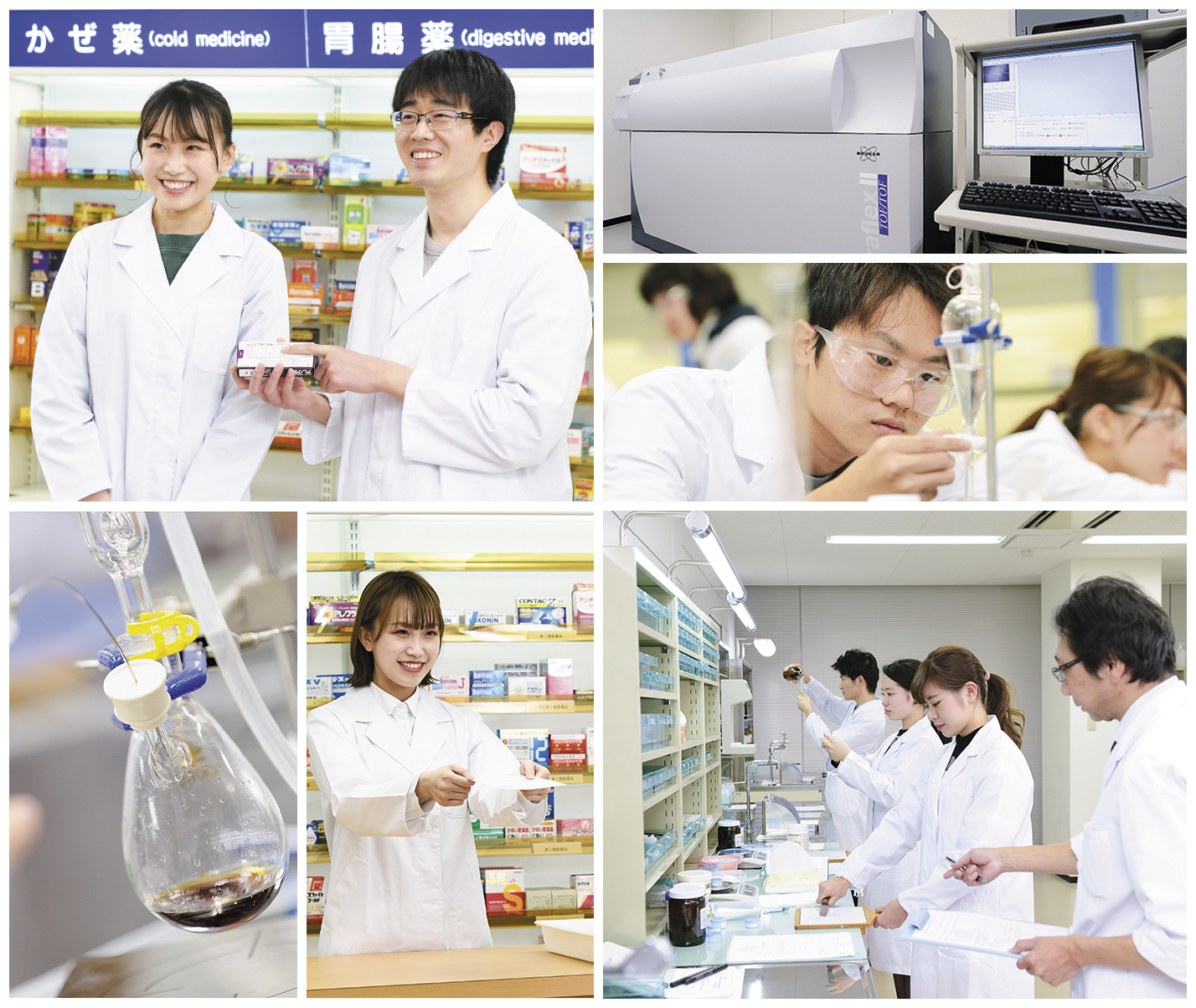 薬学部