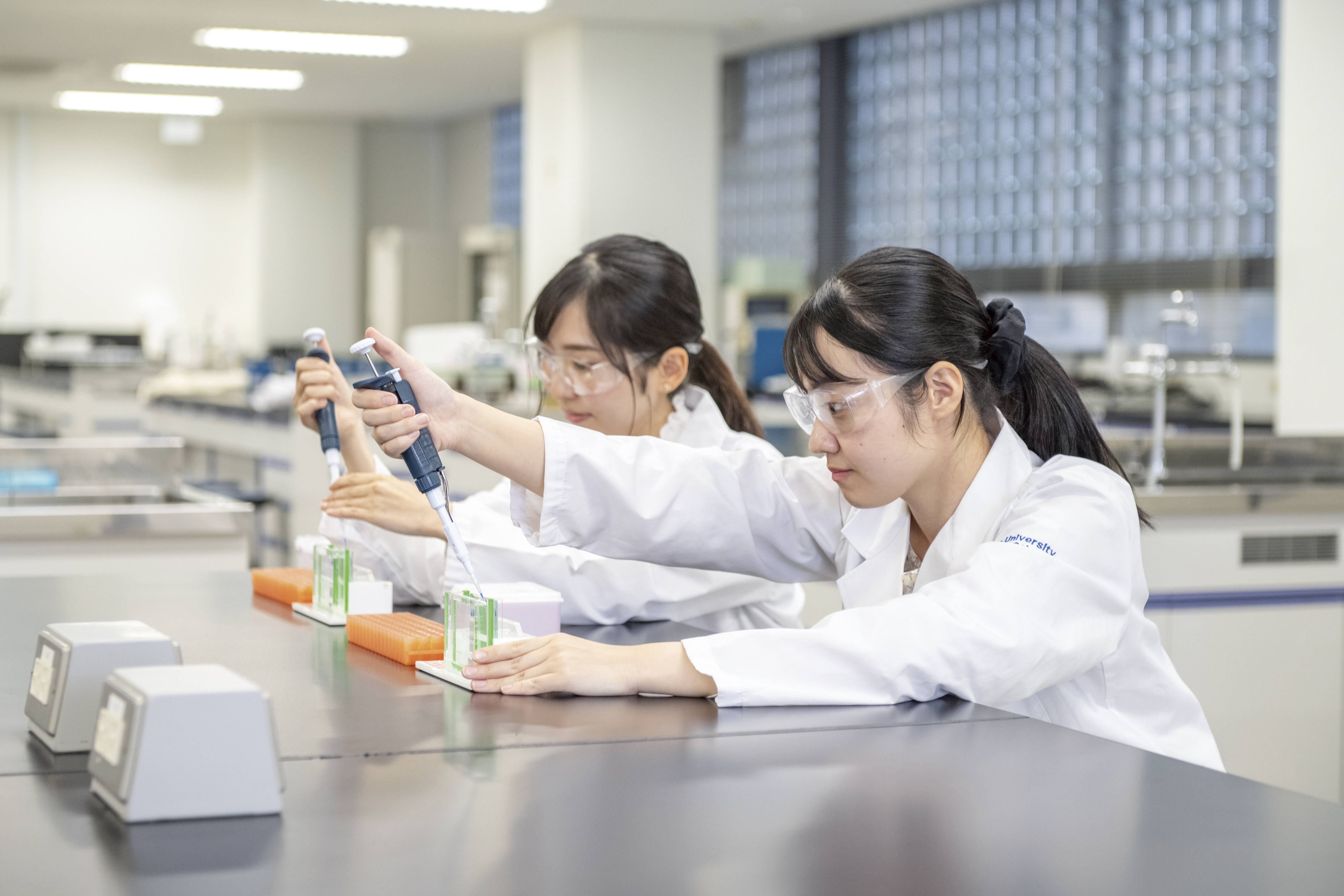 薬学部 薬科学科