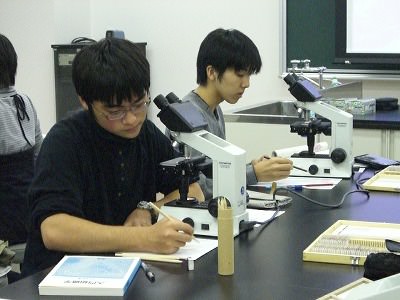 解剖学実習（遅くまで残って顕微鏡に向かっています）